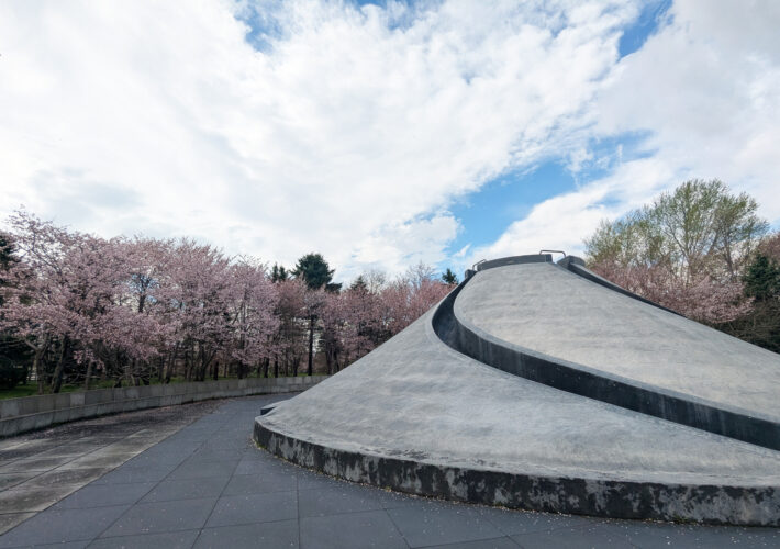 2025年5月3日サクラの様子
