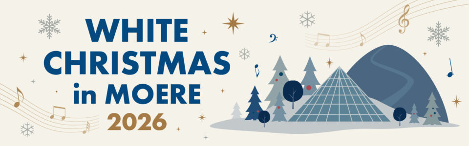 モエレのホワイトクリスマス2026トップ画像